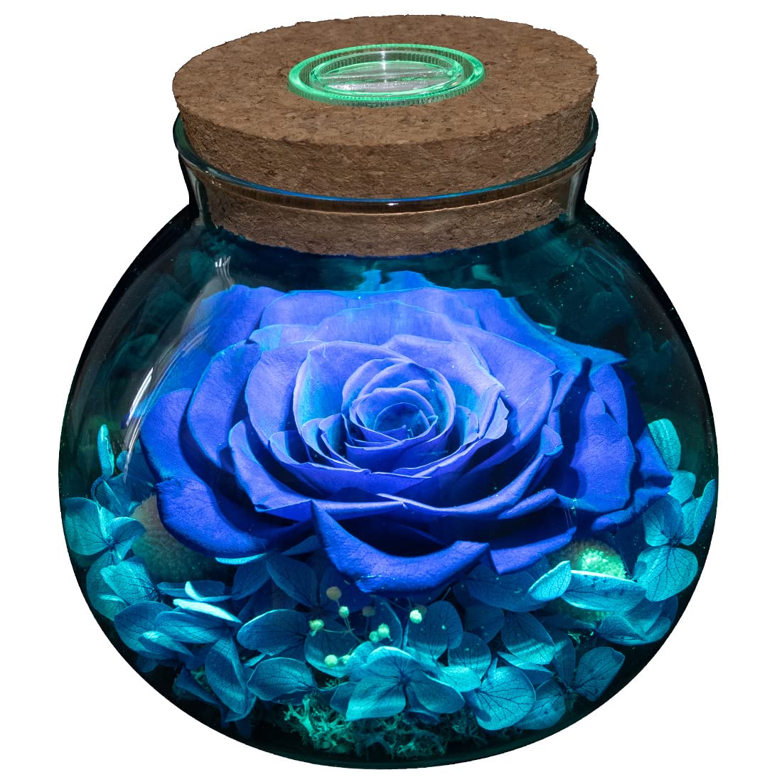 roliys preserved rose mood light bottle glows as a stylish centerpiece