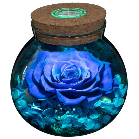 roliys preserved rose mood light bottle glows as a stylish centerpiece