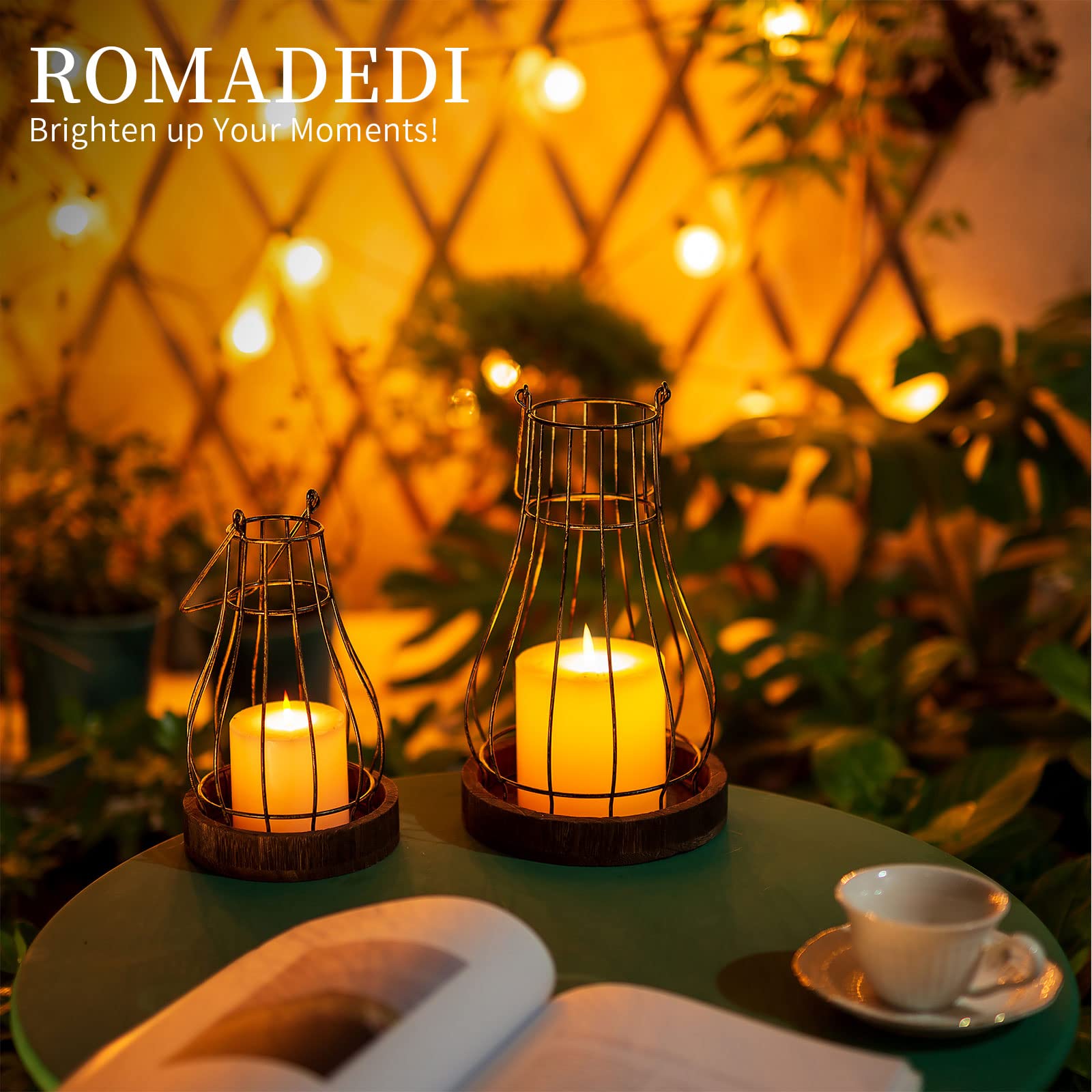 Romadedi cloche close-up highlights the sturdy metal cage and distressed wood.