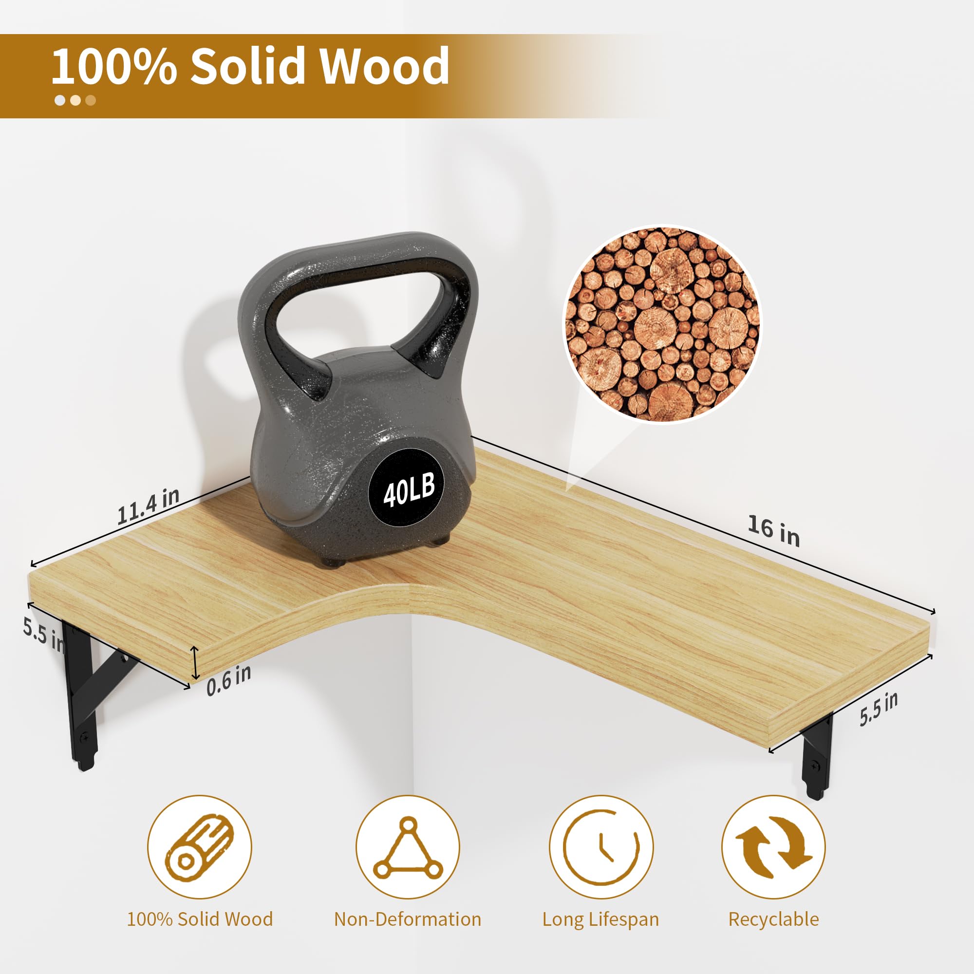 ROMGUAR CRAFT natural Paulownia wood finish adds a light premium touch
