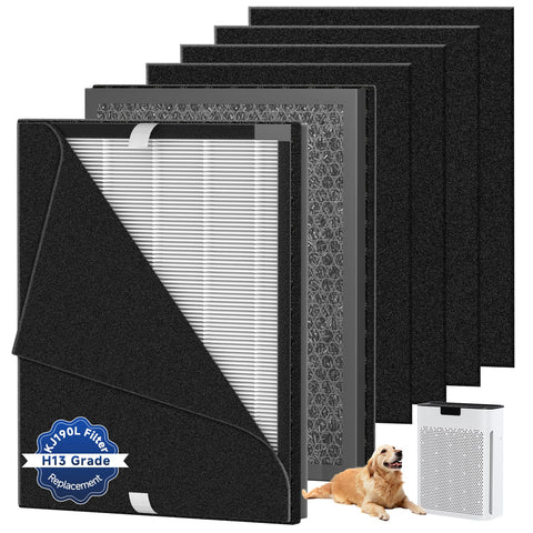 RONGJU KJ190L replacement filter 2-pack for cleaner air