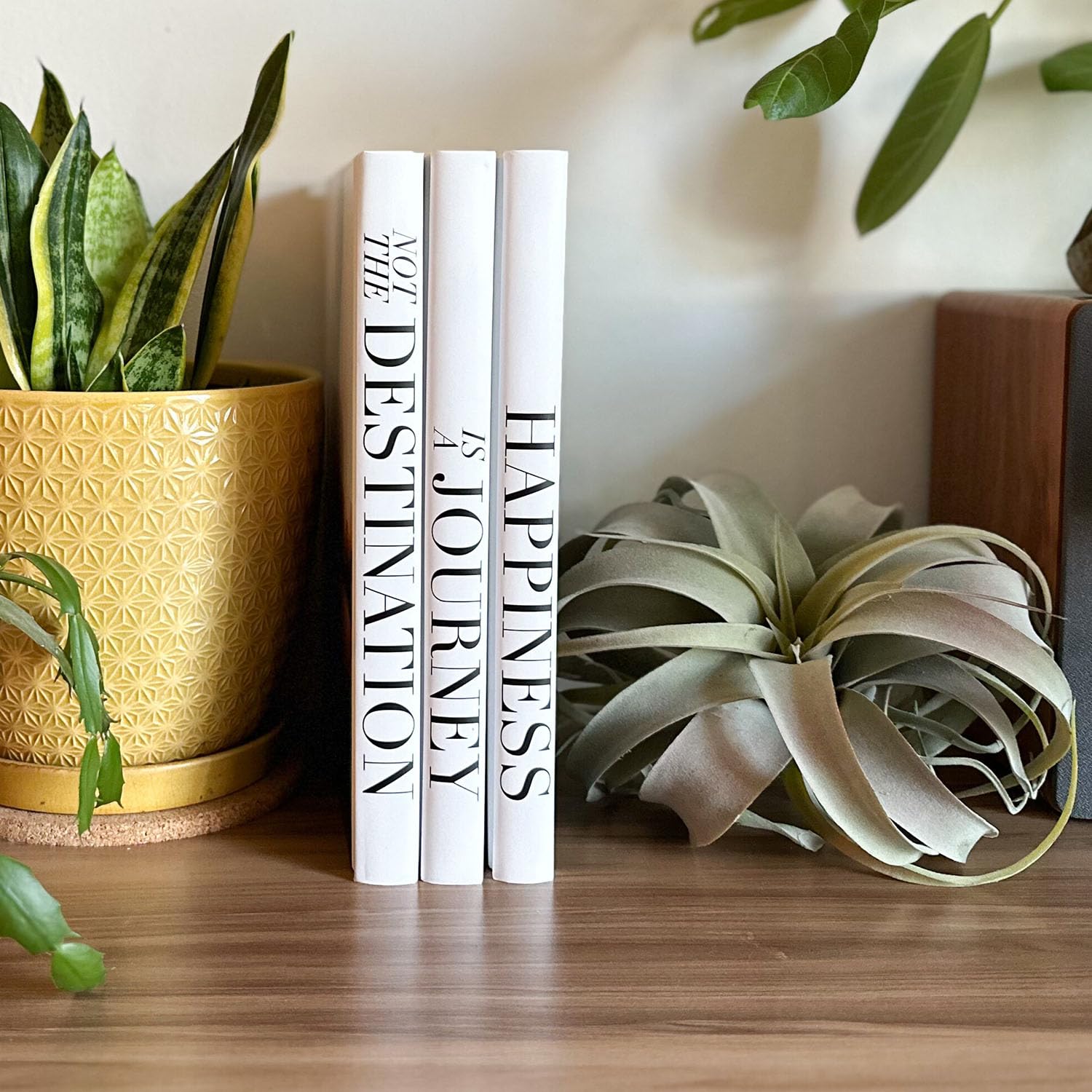 Roomicle coffee table decor is stacked for visual interest.