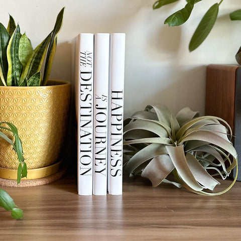 Roomicle coffee table decor is stacked for visual interest.