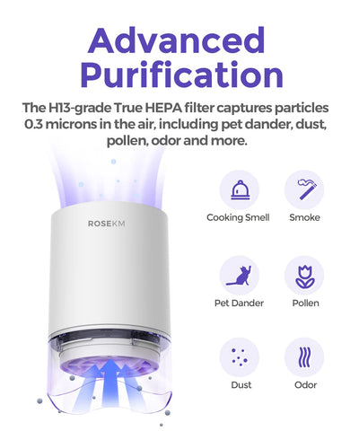 Rosekm two-in-one purifier and diffuser in a modern workspace