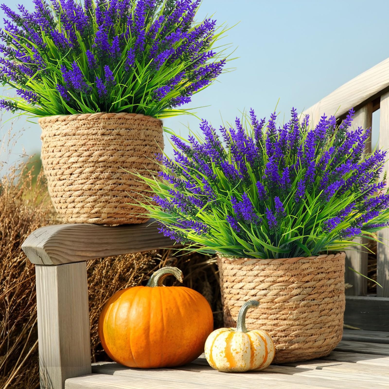 Rowfad hanging planter lavender bundle ideal for balcony or porch decor