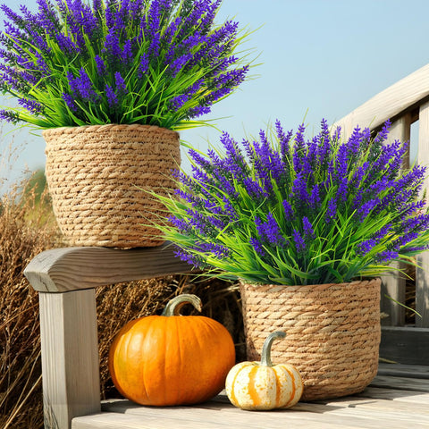 Rowfad hanging planter lavender bundle ideal for balcony or porch decor