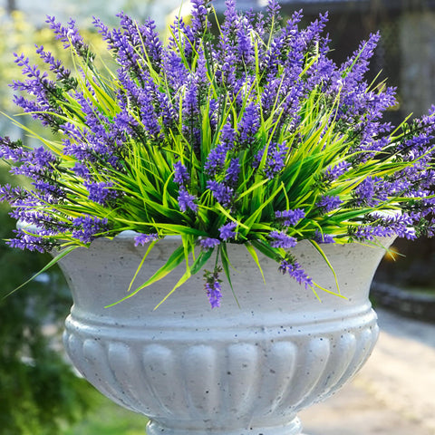 Rowfad lavender garden grass bundle blends with existing landscaping