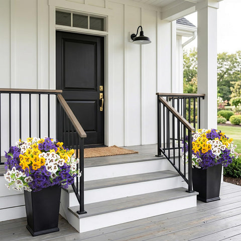 Rowfad pansies close-up highlights detailed petals for outdoor displays.
