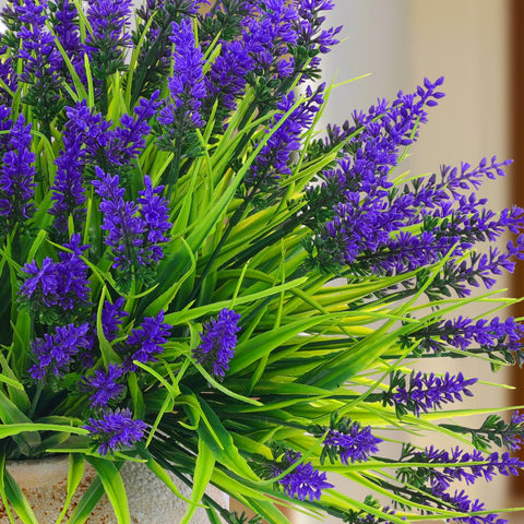 Rowfad patio decor lavender bushes offer flexible arrangement options