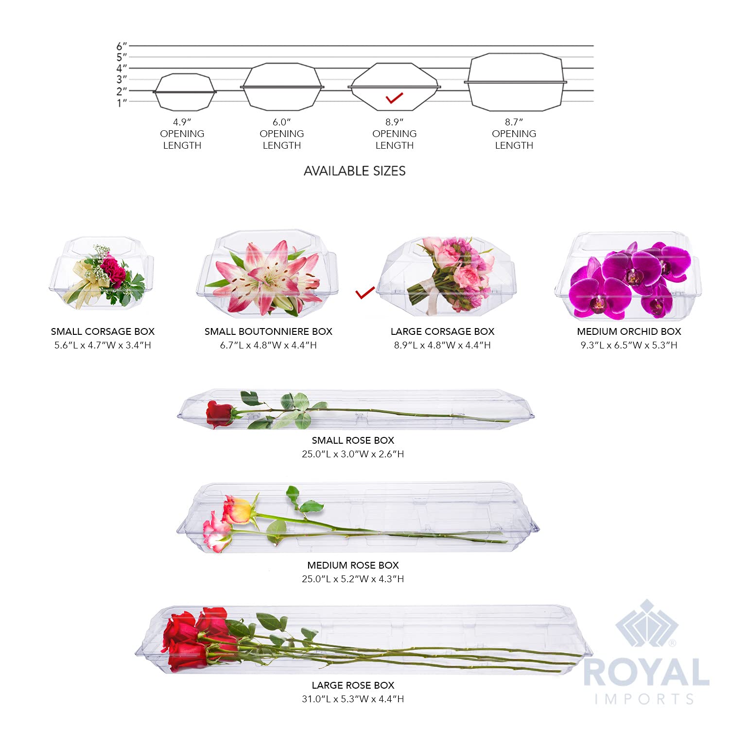 Royal Imports clear box orchid protects delicate orchids while showing their beauty.