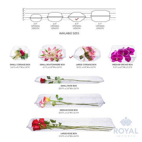 Royal Imports clear box orchid protects delicate orchids while showing their beauty.