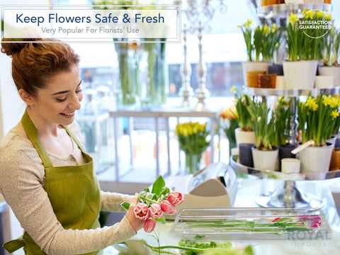 Royal Imports clear box rose highlights rose blooms with clear display and freshness appeal.