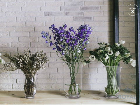 Royal Imports clear glass flower vase for table décor and floral arrangements.