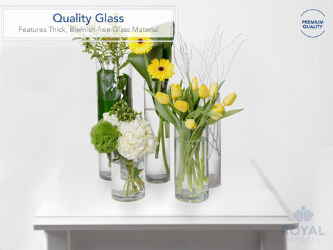 Royal Imports clear glass vase base emphasizes stability on tabletops