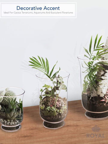 Royal Imports glass terrarium container for cacti, air plants, or decorative succulents.