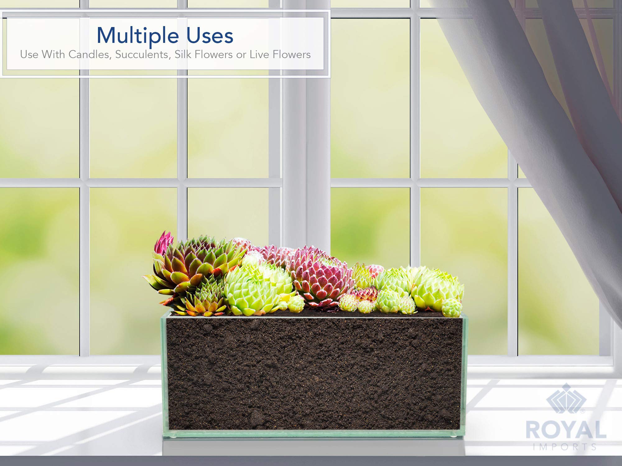 Royal Imports rectangle vase 12in displays flowers with modern clarity
