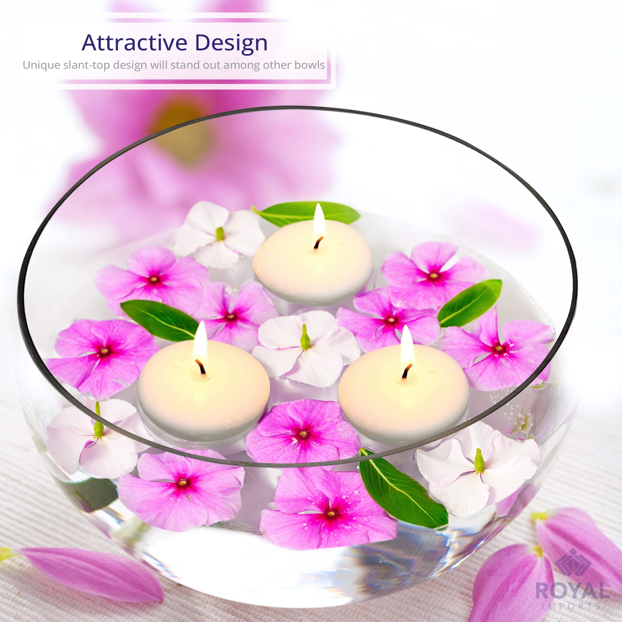 Royal Imports glass terrarium bubble bowl for stylish succulent displays
