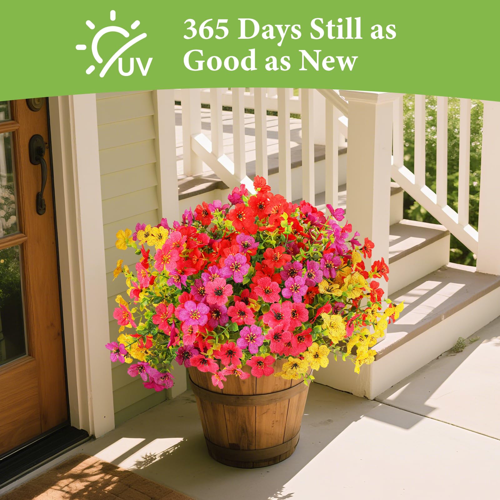 SAEUYVB multicolor outdoor flowers in red pink yellow and purple