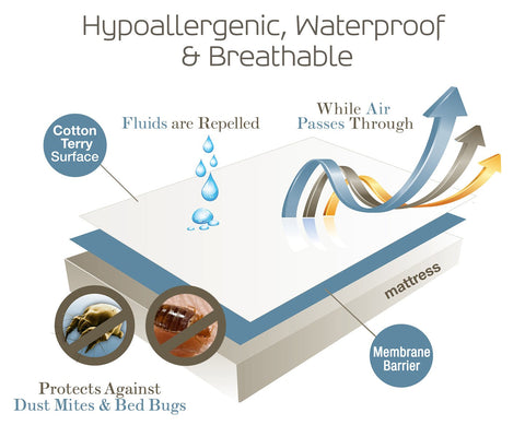 SafeRest king-size protector on a bed setup demonstrates full coverage and easy care.
