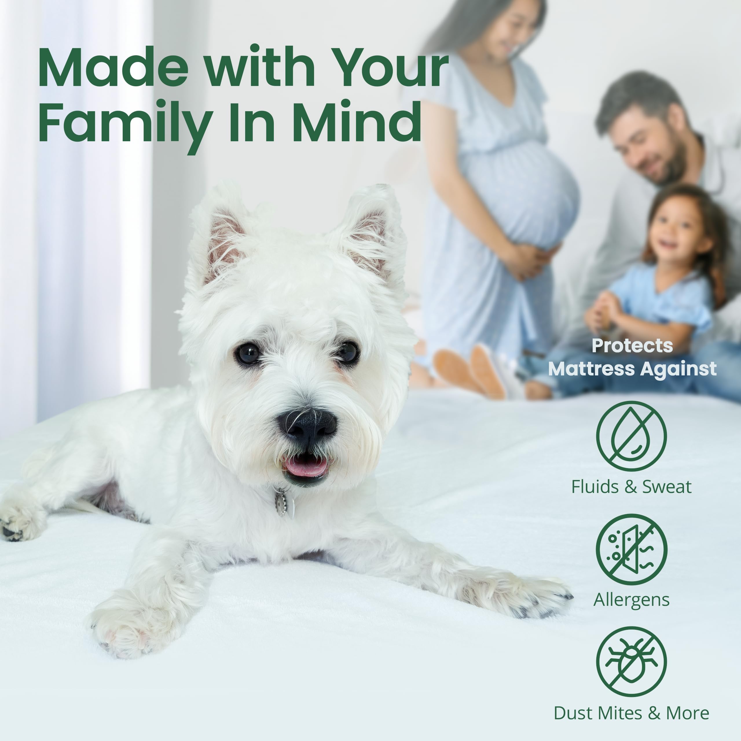 SafeRest OEKO-TEX certified label ensures safer materials for home use.