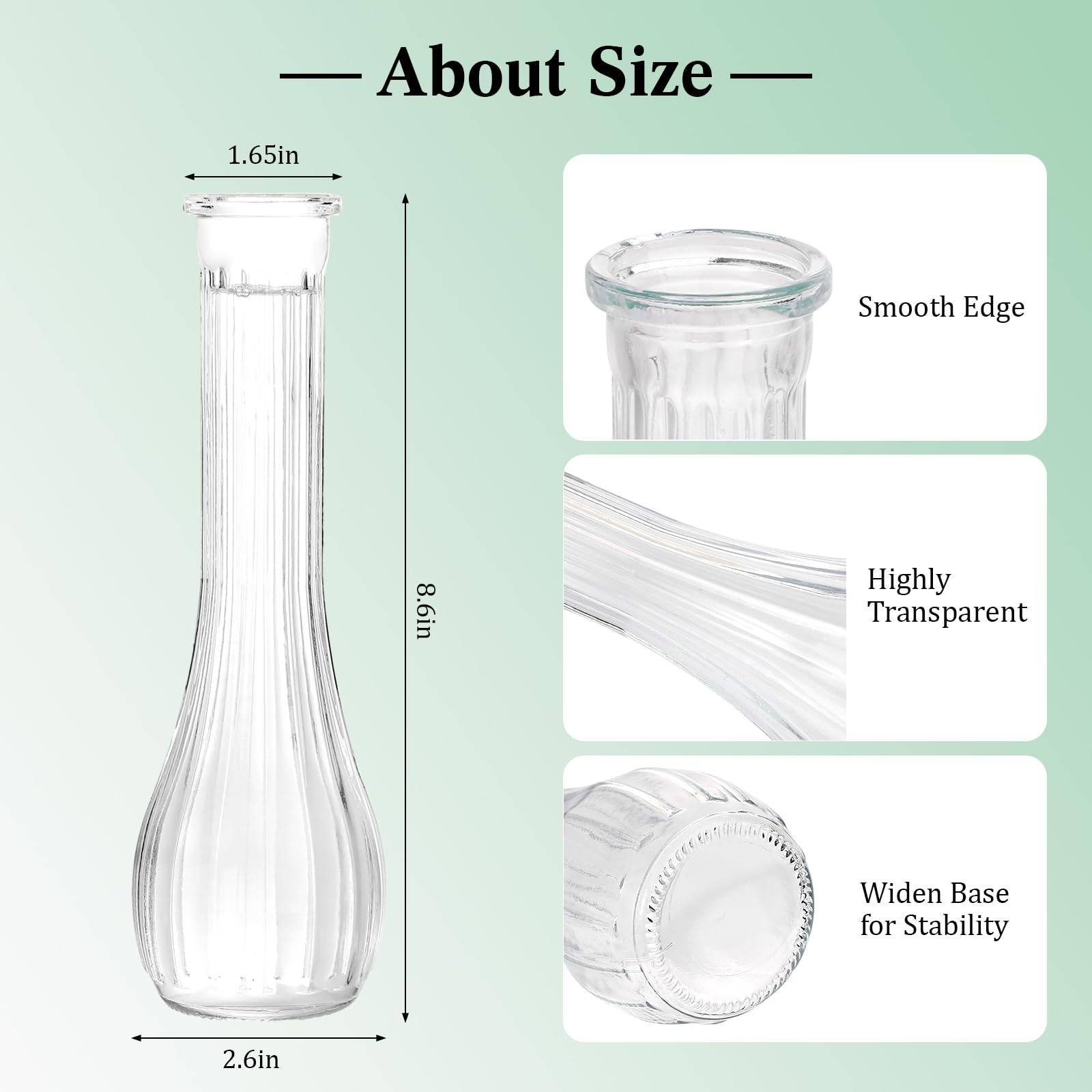 Saiguomi 8.5 inch tall bud vase highlighting roses in sturdy glass.