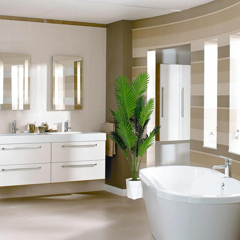 SAJANDAS versatile indoor plant for home and store