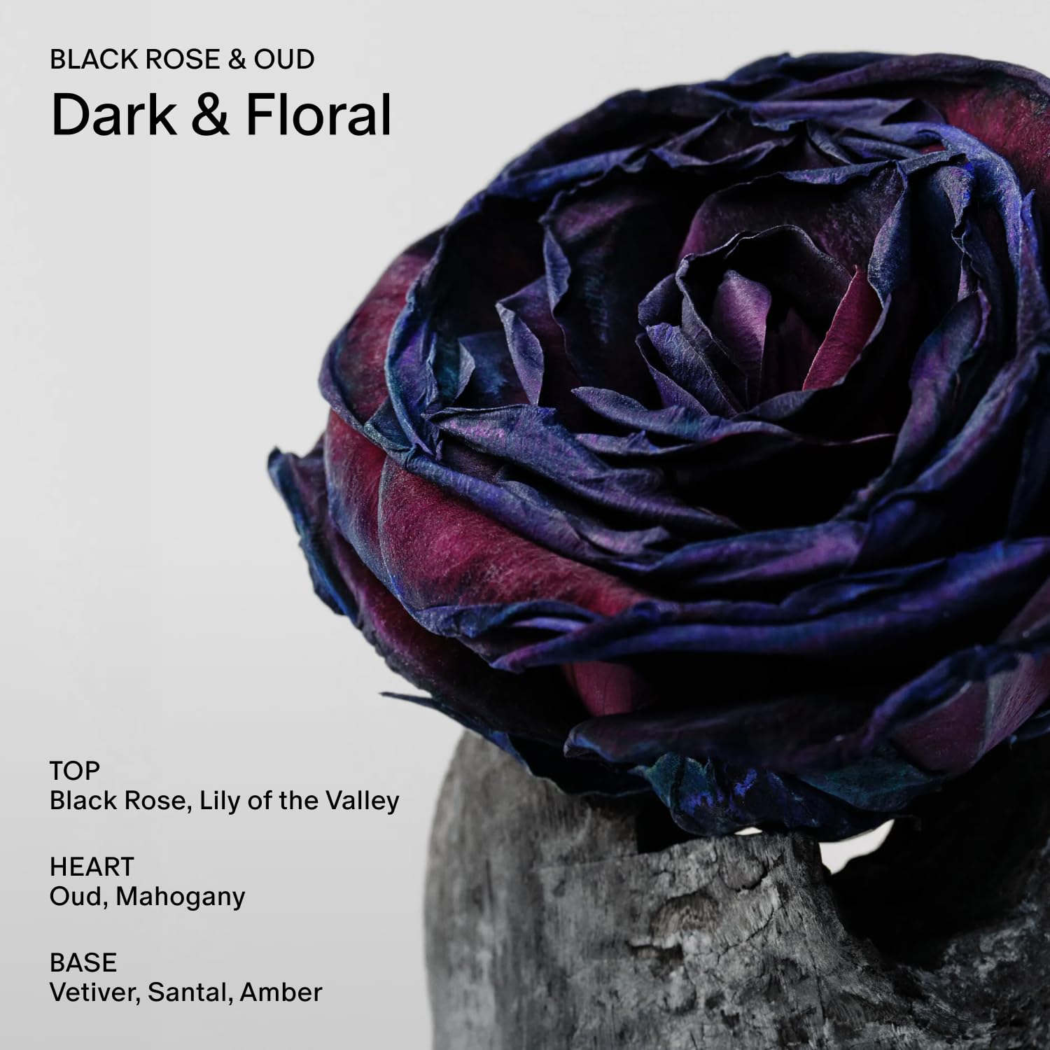 Salt & Stone Black Rose & Oud wax detail highlights premium coconut-soy blend.