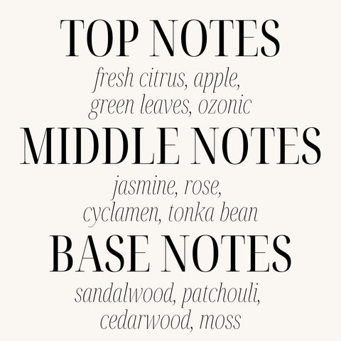 Sand + Fog gift-ready candle suits thoughtful occasions and self-care.