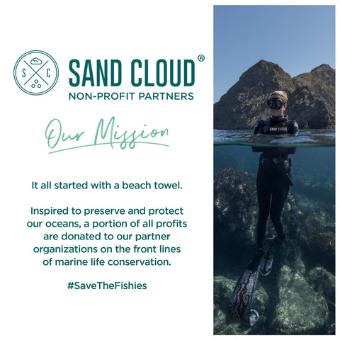 Sand Cloud XL Turkish towel navy used as a cozy picnic blanket