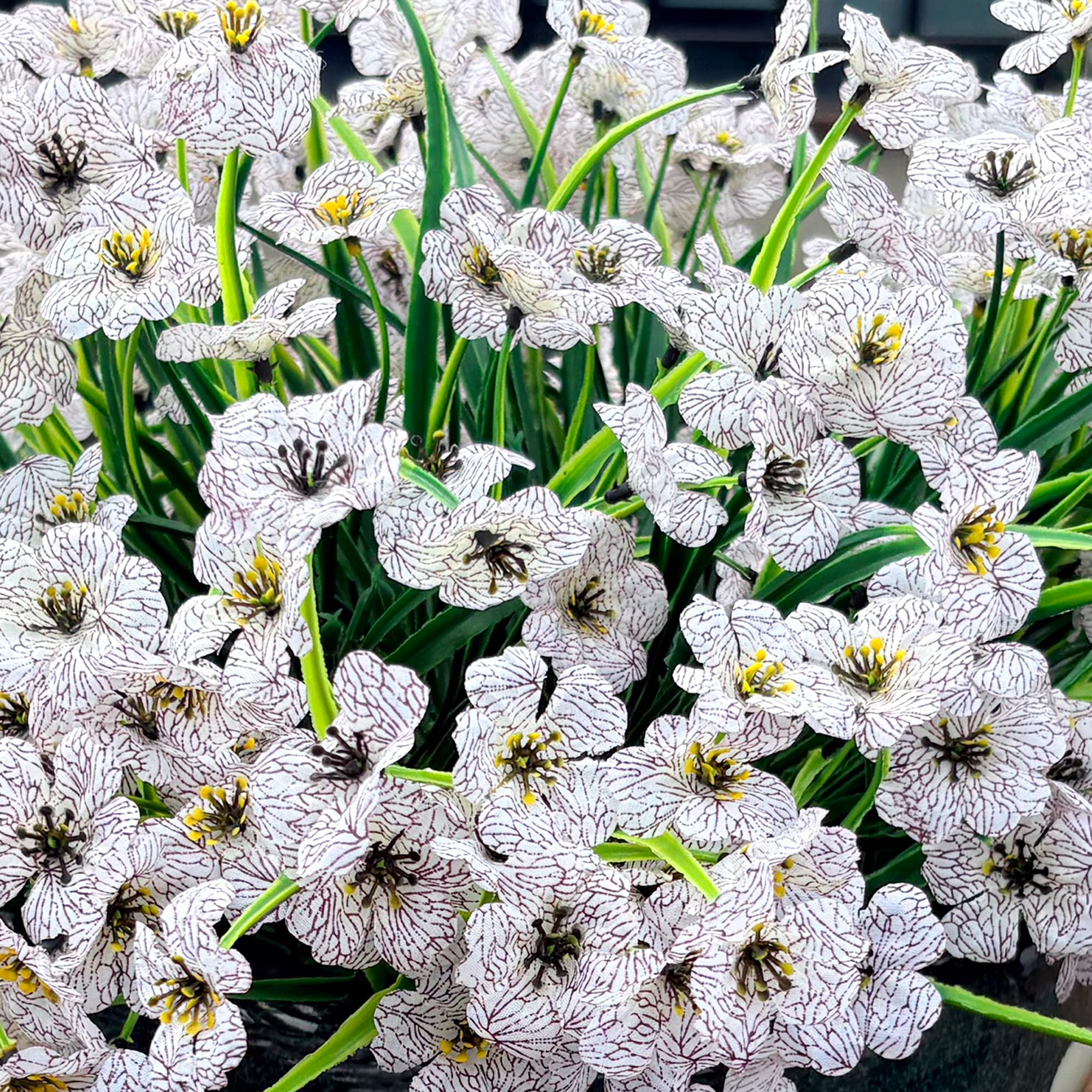 Satefello colorful-outdoor-flowers bundle enhances curb appeal without upkeep.