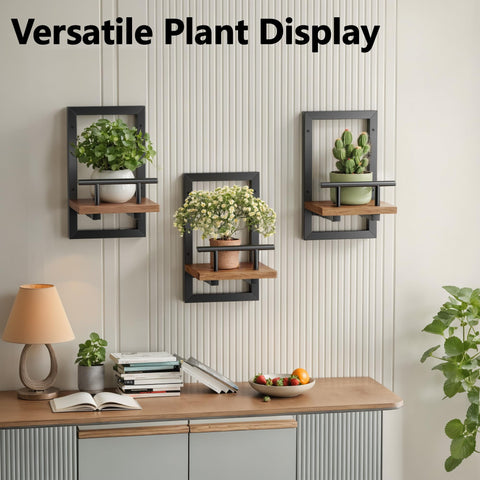 Sbosbo shelves with multiple pots arranged in living room for natural accent