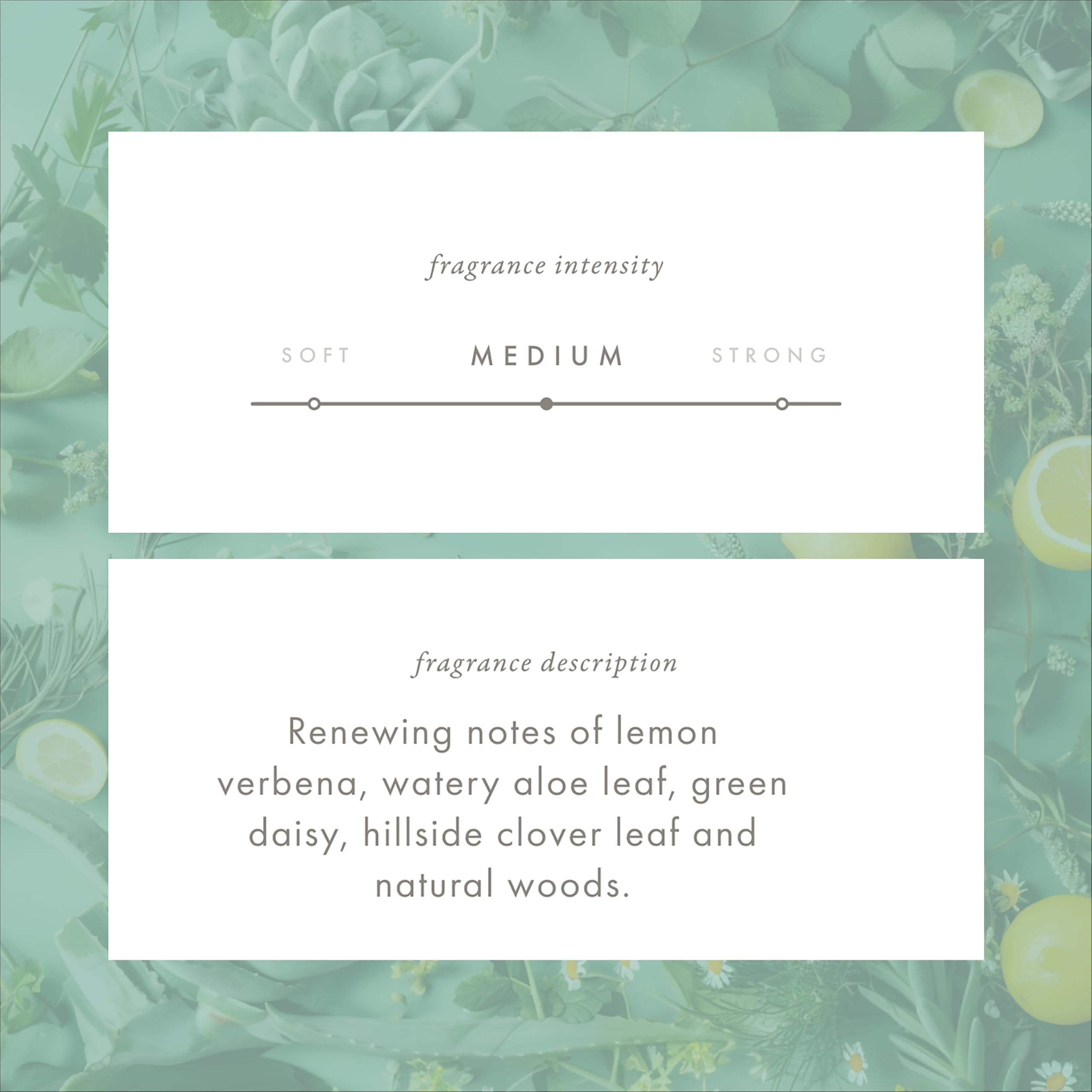 Cruelty-free vegan kosher halal icons accompany fragrance imagery for mindful choices.
