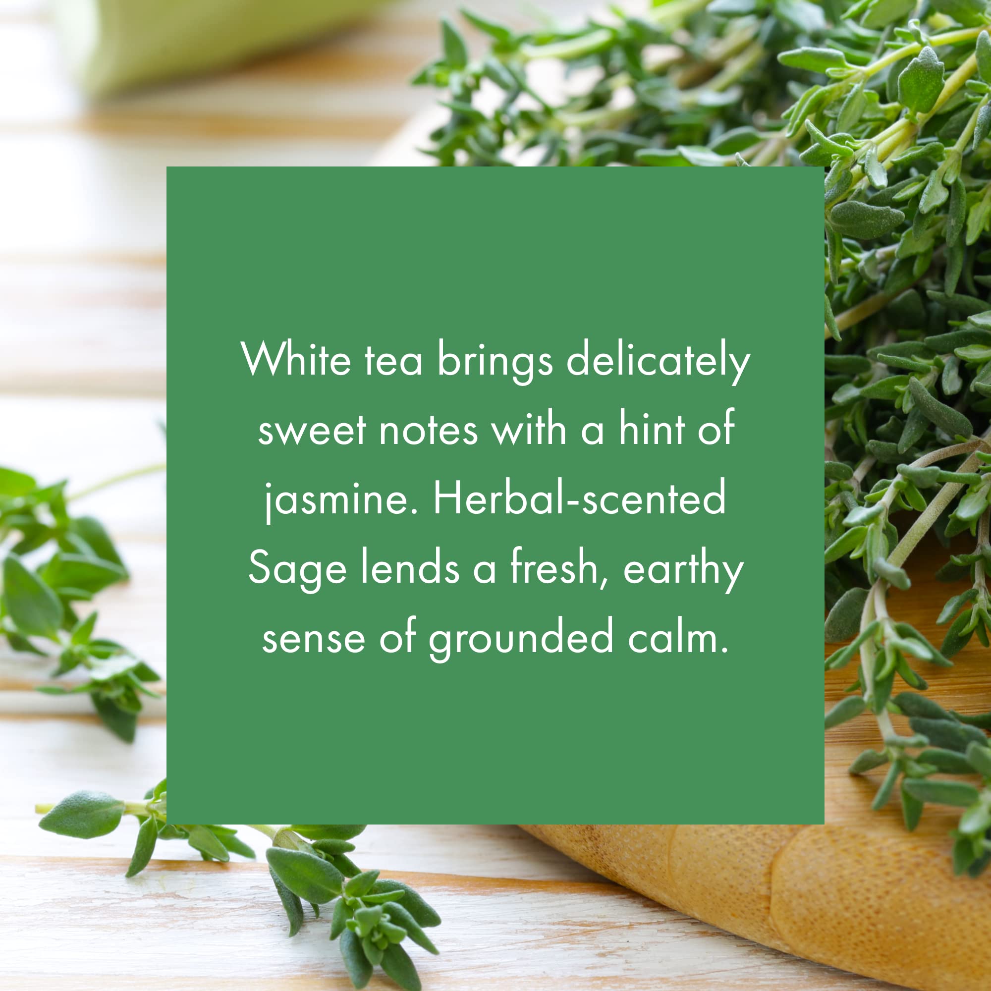 ScentAir Whisper White Tea & Thyme fragrance close-up for a refined scent profile.