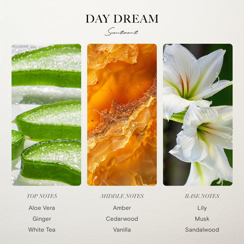 Scentiment Day Dream oil creates spa-inspired atmosphere in home or office.
