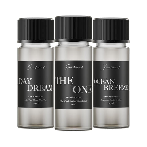Scentiment Day Dream fragrance bottle, a calming, boutique hotel-inspired aroma for tranquil spaces.