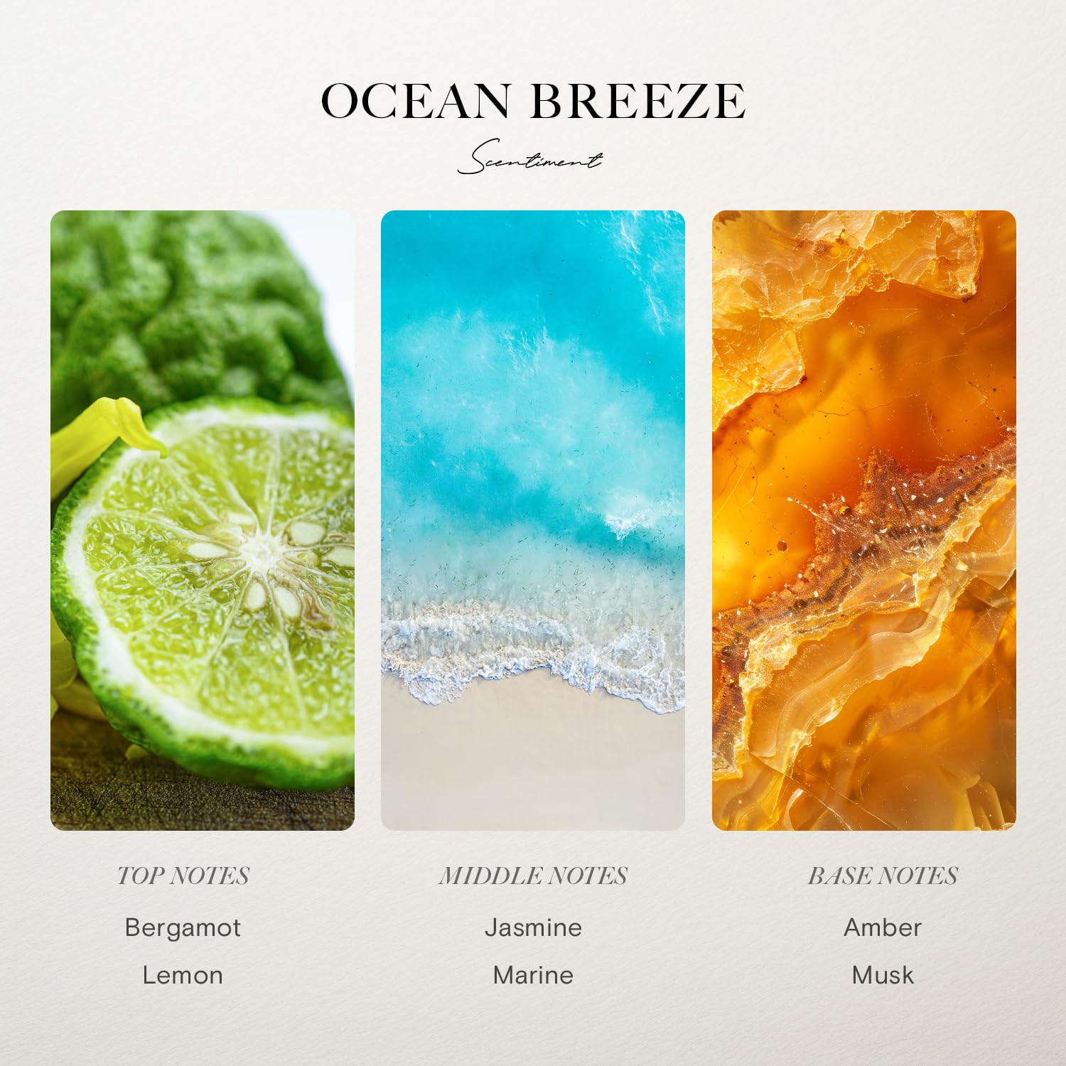 Scentiment Ocean Breeze amber-marine notes diffuser oil bottle for coastal vibes.