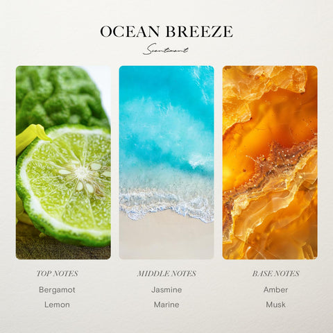 Scentiment Ocean Breeze label shows bergamot, lemon, jasmine notes for fresh mood