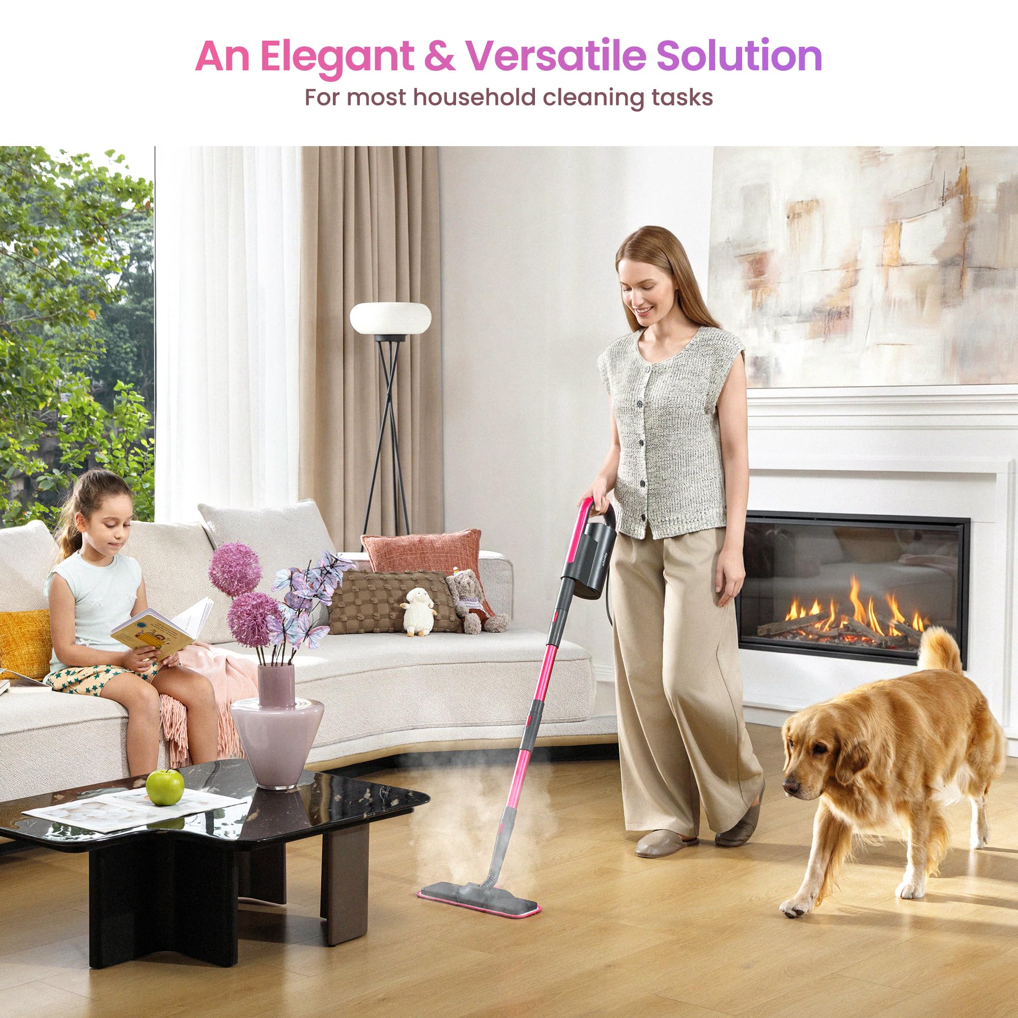 Schenley detachable handheld steamer for quick spot cleaning on surfaces.