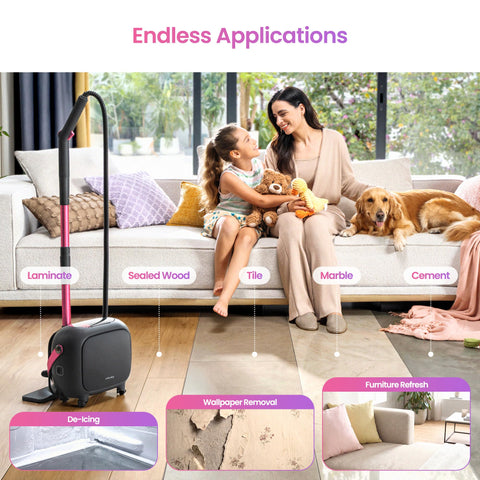 Schenley EPA-compliant cleaning power with bacteria reduction potential