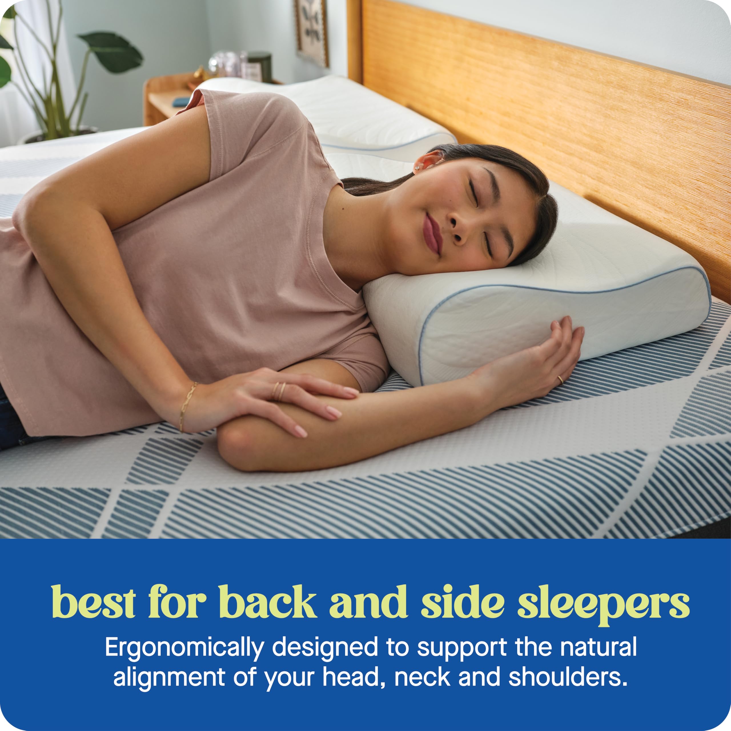 Sealy Dreamlife pillow supporting side and back sleepers for proper alignment.