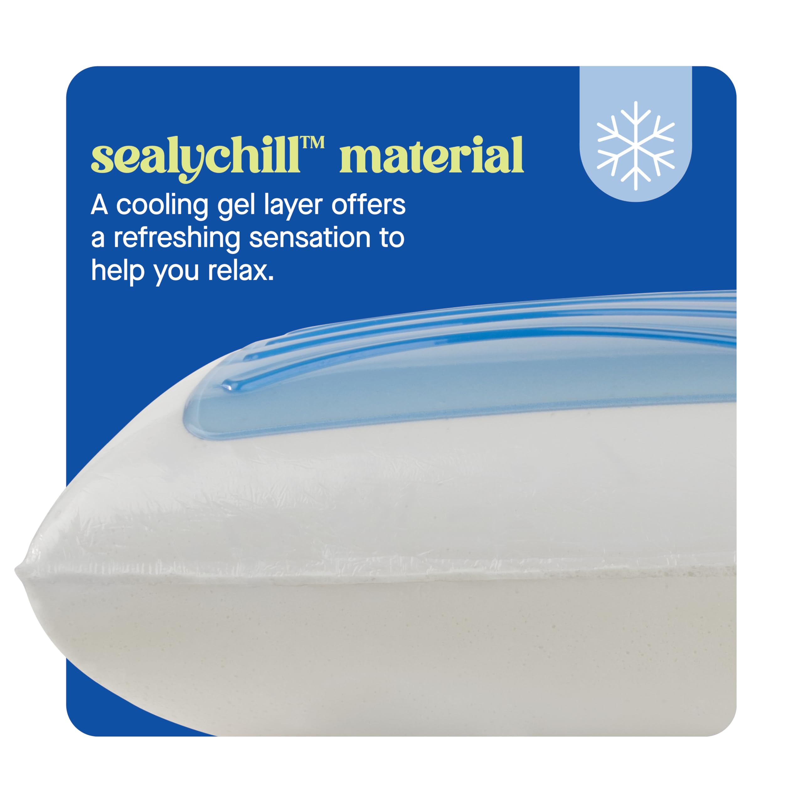 Sealy Dreamlife pillow supports back, side, and stomach sleepers with conforming foam.