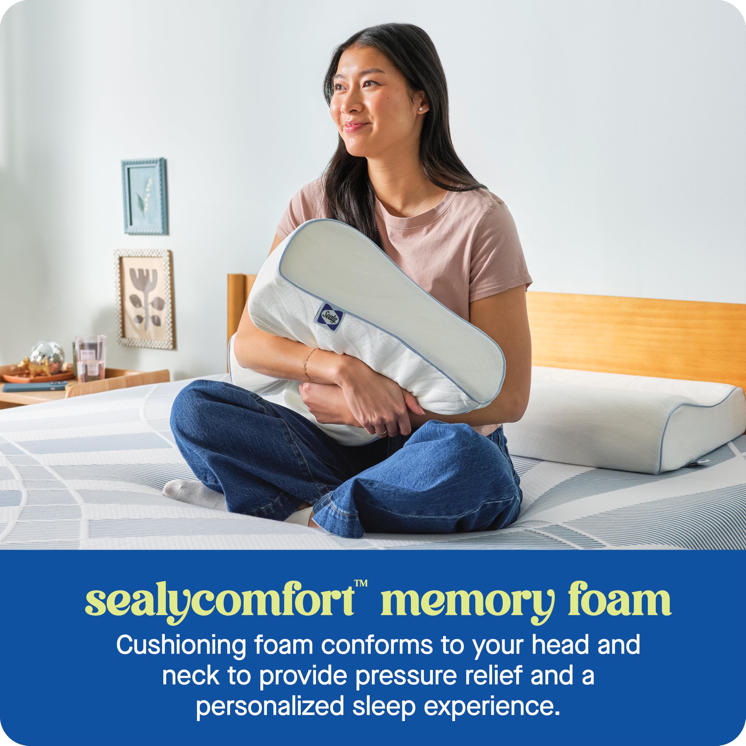 Sealy Dreamlife standard size pillow with 1-year warranty badge.
