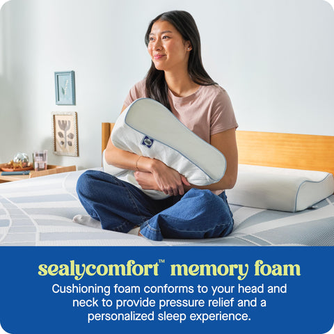 Sealy Dreamlife standard size pillow with 1-year warranty badge.