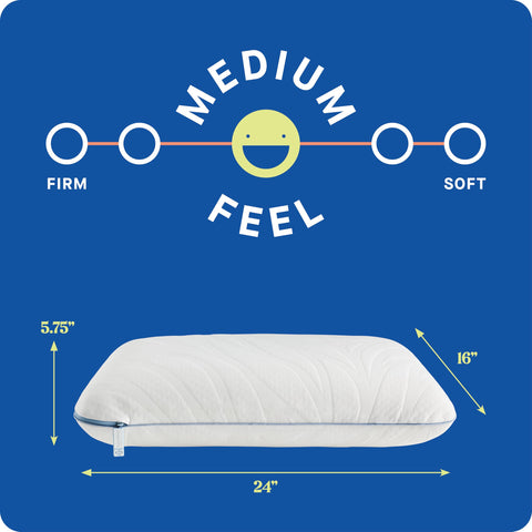 Sealy Dreamlife two-pack packaging highlights value and convenience.