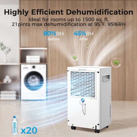 SEAVON dehumidifier for large rooms delivering steady, comfortable humidity.