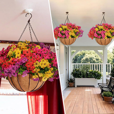 Secqous daisy hanging basket with color variety brightens any patio.
