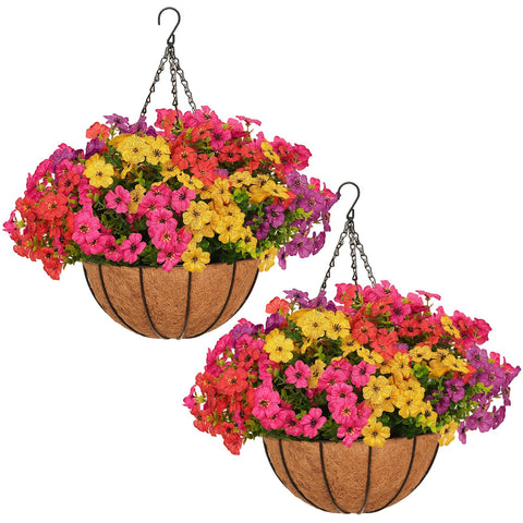 Secqous daisy hanging basket on a porch adds year-round color for outdoor decor.