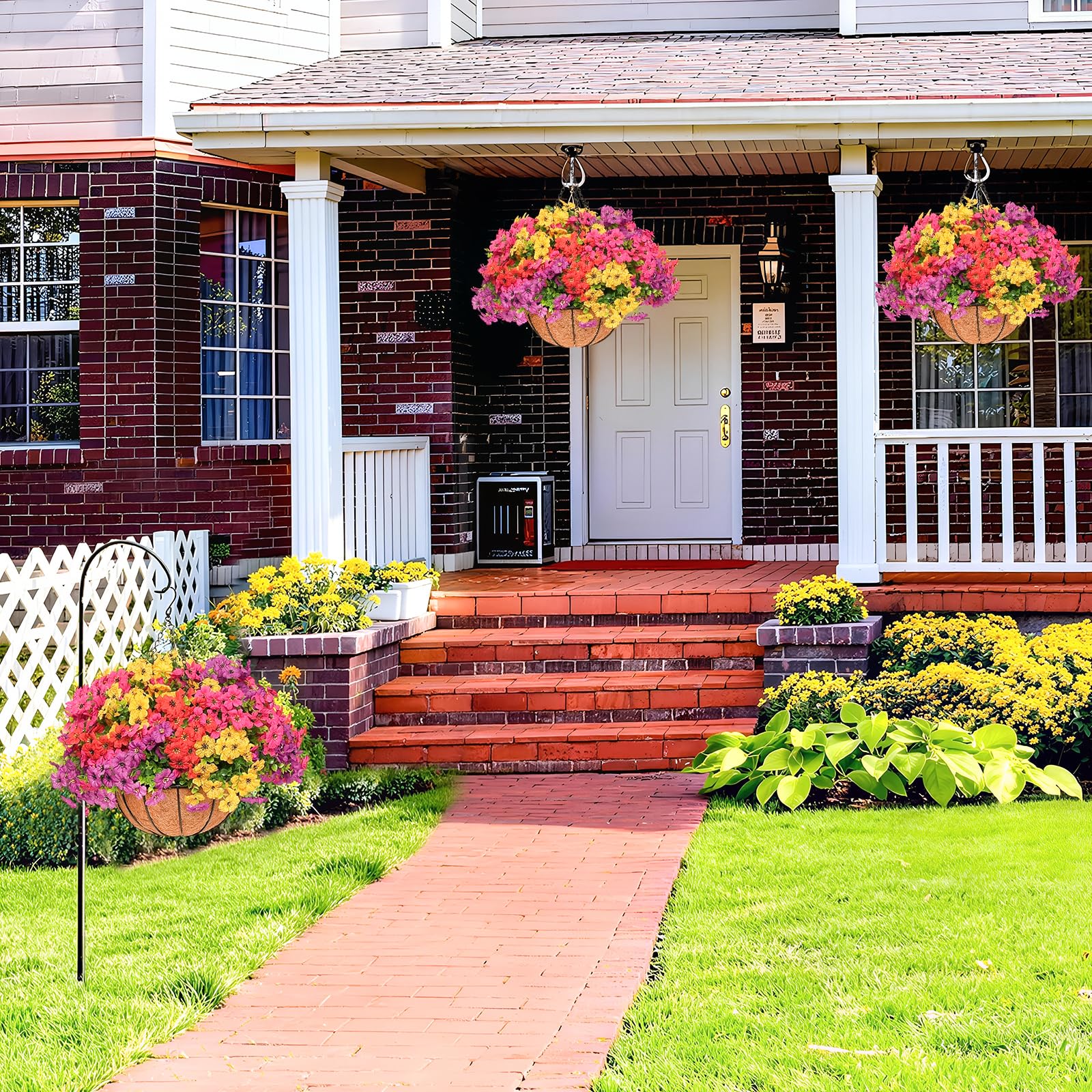 Secqous daisy hanging basket in sunlight highlights vibrant blooms for outdoors.