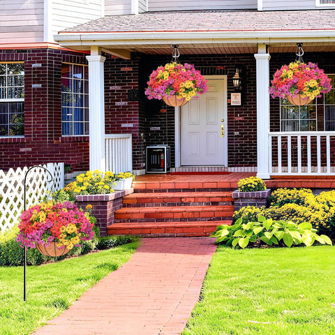 Secqous daisy hanging basket in sunlight highlights vibrant blooms for outdoors.