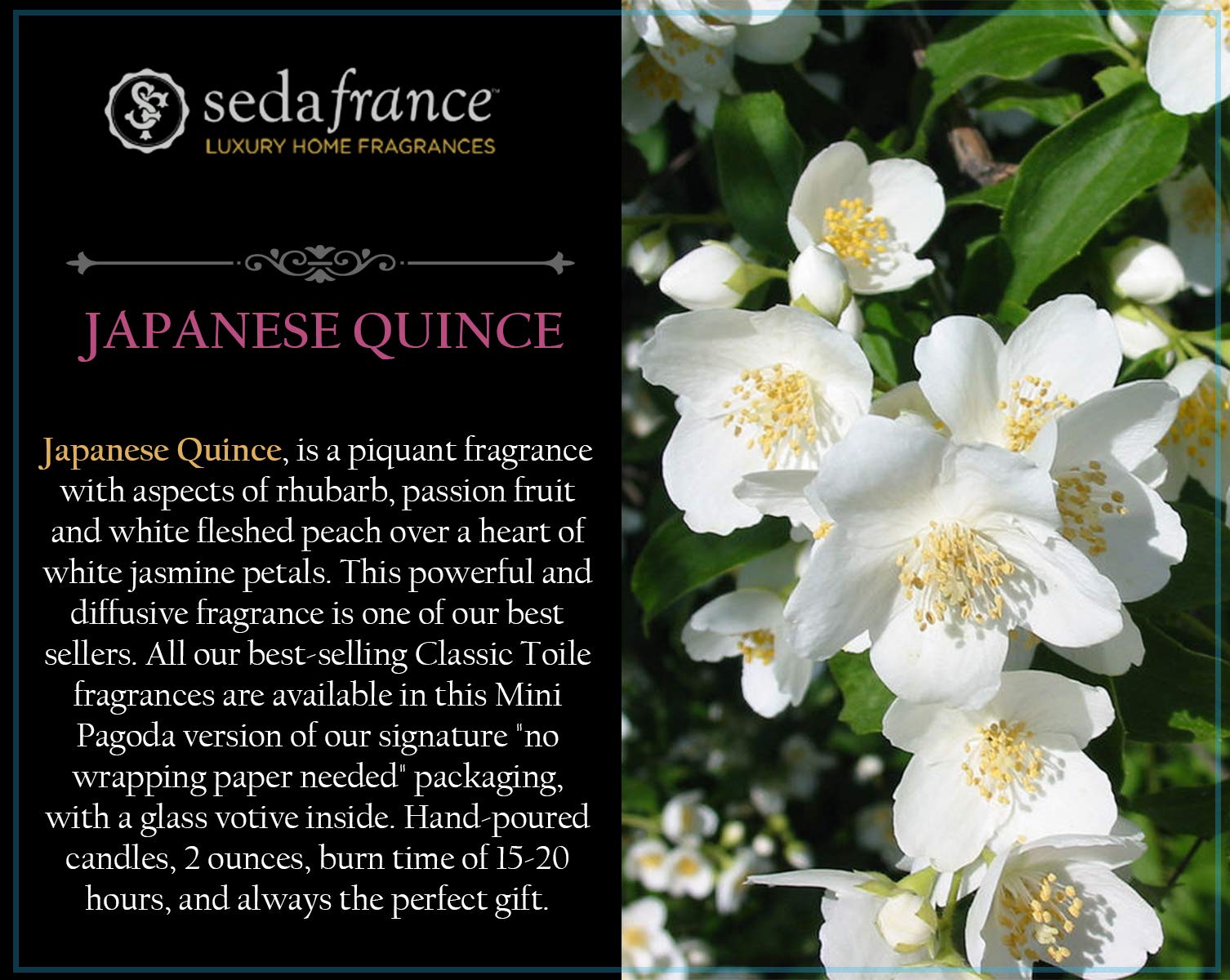 Seda France Japanese Quince Candle dimensions show 4.25 in tall by 3 in wide for shelf fit